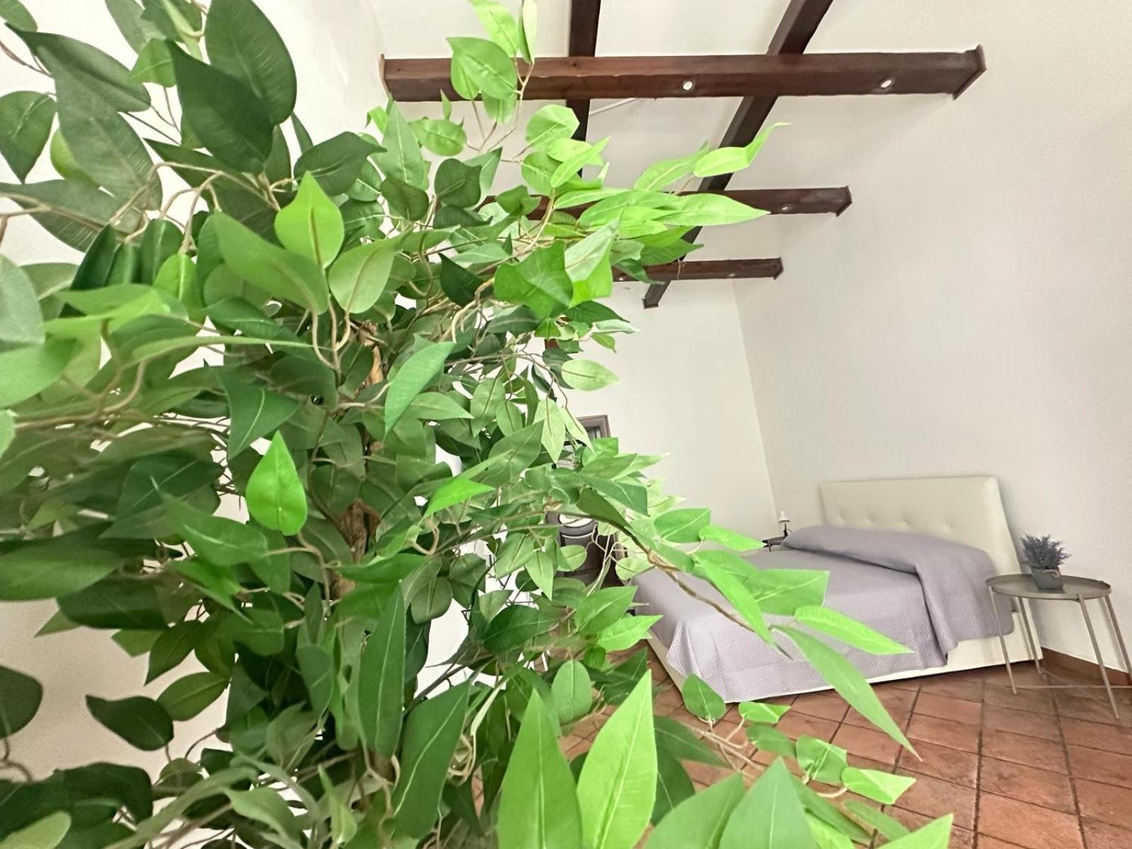 Appartement La Casa Di Linda *